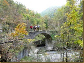 Ponte sul Bidente