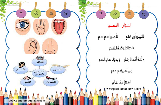 انشودة الحواس الخمس ، اناشيد لأطفال الروضة و اناشيد اطفال 5 و 6 سنوات