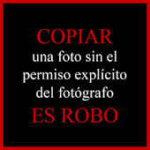 Copiar sin permiso es ROBO