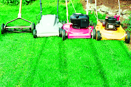 Common Sense Gardening: Lawn Mower Tips