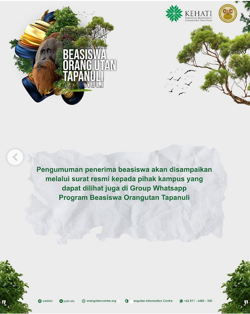 Resmi Dibuka, Beasiswa Orangutan Tapanuli tahun 2024