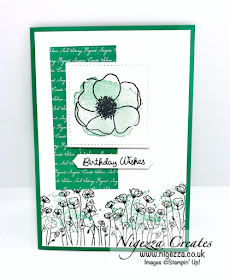 Painted Poppies Stampin Up