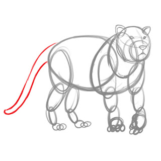 How to draw a Tiger - step 5