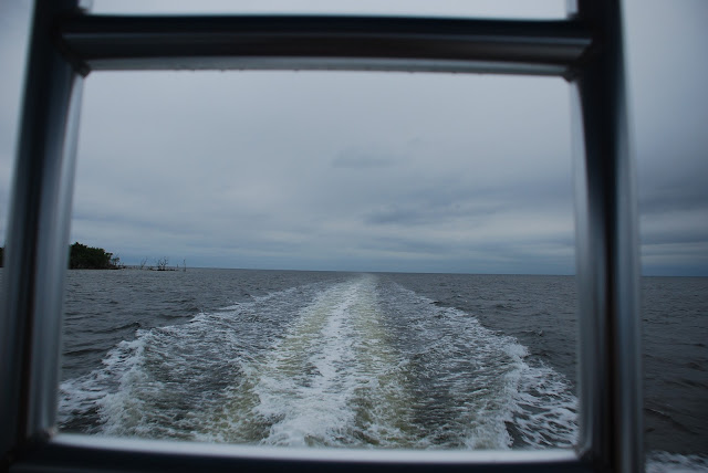 Everglades National Park's Ten Thousand Islands