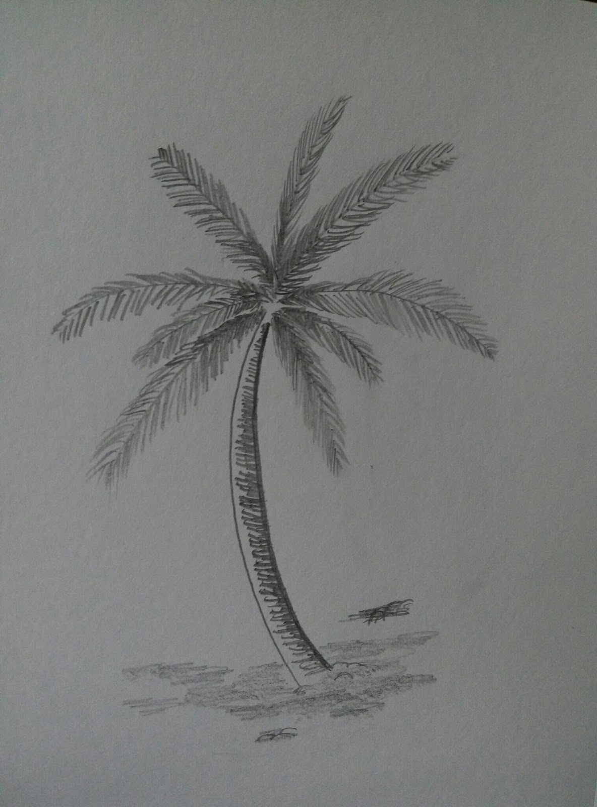 Sketsa Pohon Kelapa