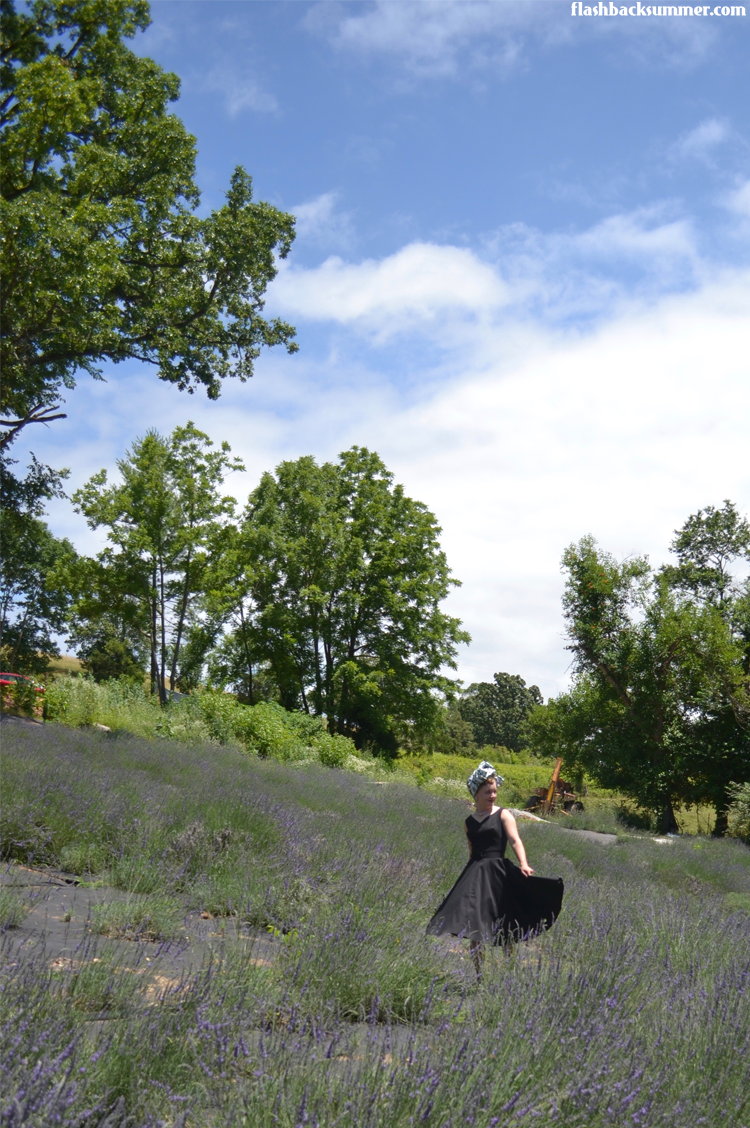 Flashback Summer: Lavender Falls Farm - Clever, Missouri