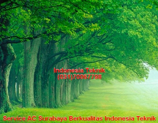 Harga Service Kulkas Membersihkan Oli di Sidoarjo (031)70067798