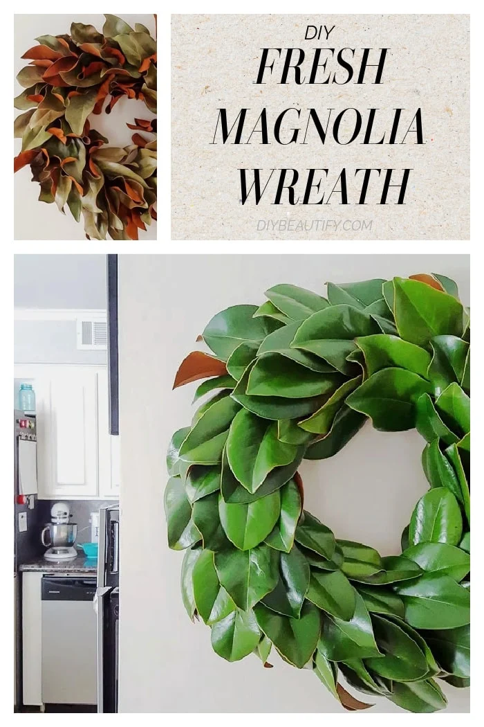 fresh magnolia leaf wreath