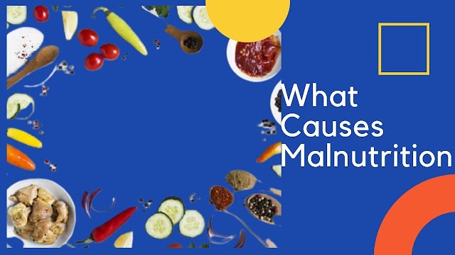 What Causes Malnutrition Why You Should  Focus on Improving 