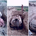 Taliban dig-up their founder Mullah Omar’s vehicle buried 21 years ago