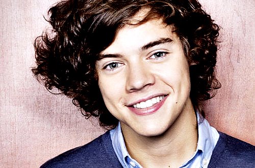 Personal Profile of Harry Styles One Direction