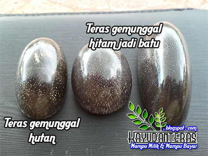 Koleksi Teras Kayu dan Batu: :: Koleksi Rare dan Terbaik 