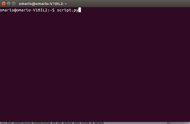 run python code on linux terminal