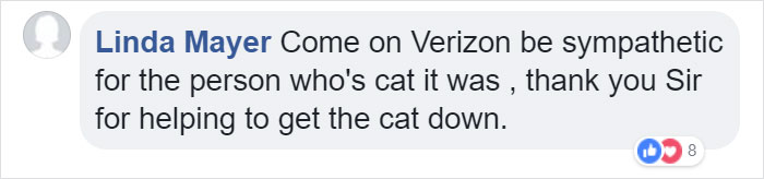 Verizon Suspended A Worker Who Rescued A Cat Using His Work Equipment