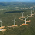 Junho Verde: No dia do Meio Ambiente, saiba como os baianos atuam para tornar o estado mais sustentável