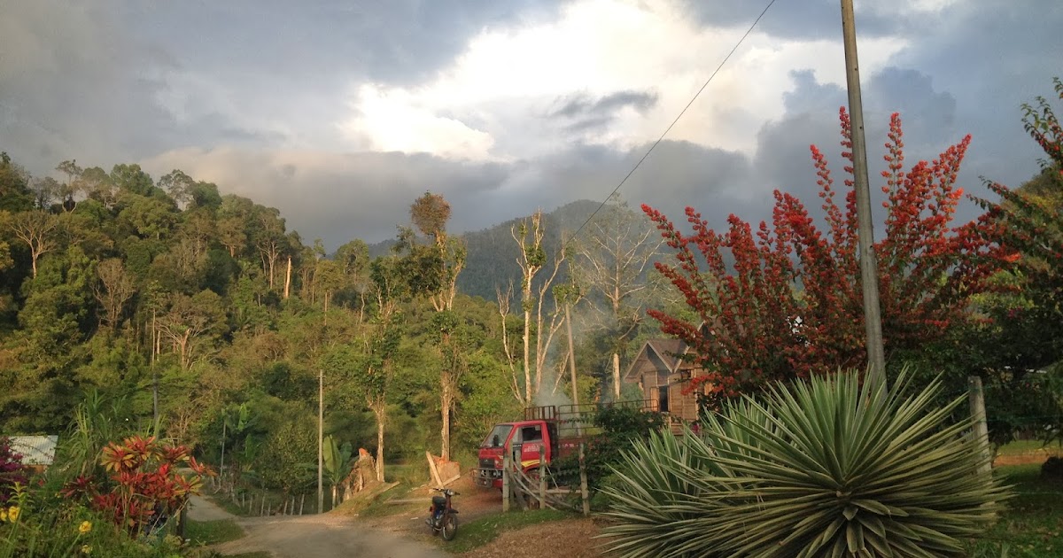 Rumah Sewa Area Hutan Kampung - Gambleh a