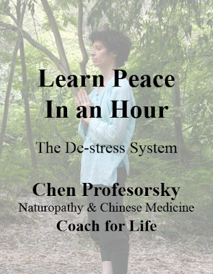 learn peace in an hour - my book