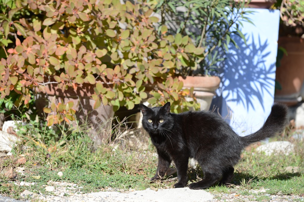 20151029-DSC_0350A.jpg