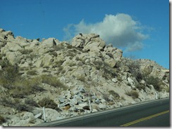 DSCN1600