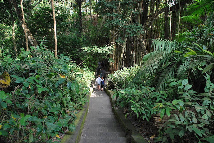 Sendero en el parque