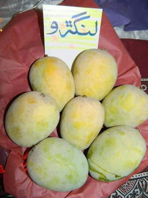 How many types of mangoes in Pakistan?