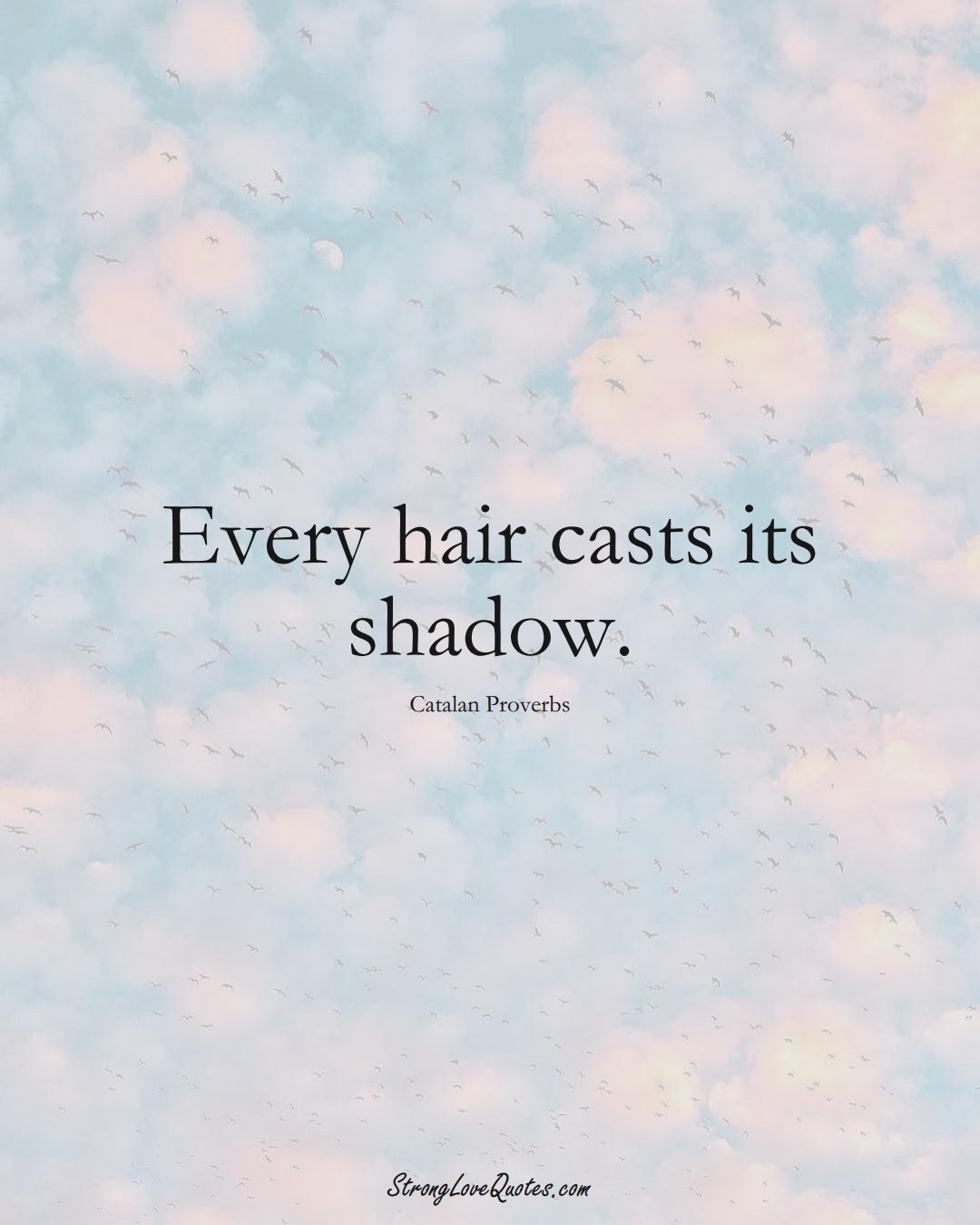 Every hair casts its shadow. (Catalan Sayings);  #EuropeanSayings