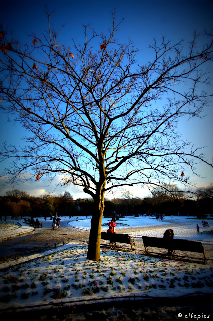 St. Stephen's green con la neve-Dublino