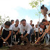  El alcalde planta en la Plaza Grande el árbol número 60,000 del Plan Municipal de Infraestructura Verde