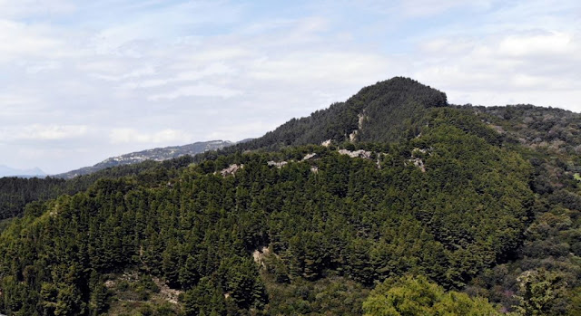 Συνάντηση με τον Πρωθυπουργό, Κυριάκο Μητσοτάκη, είχαν σήμερα ο Υπουργός Περιβάλλοντος και Ενέργειας, Κώστας Σκρέκας, o Υπουργός Εργασίας και Κοινωνικών Υποθέσεων, Κωστής Χατζηδάκης και οι Υφυπουργοί Περιβάλλοντος και Ενέργειας, Νίκος Ταγαράς και Γιώργος Αμυράς, προκειμένου να εξετάσουν ζητήματα που έχουν προκύψει από την ανάρτηση των δασικών χαρτών