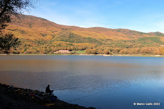 ROZAS DE PUERTO REAL - RUTA DE LOS CASTAÑOS. Madrid, España