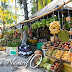 10 Frutas Exóticas de la Riviera Nayarit