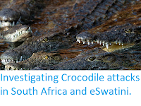 https://sciencythoughts.blogspot.com/2019/10/investigating-crocodile-attacks-in.html