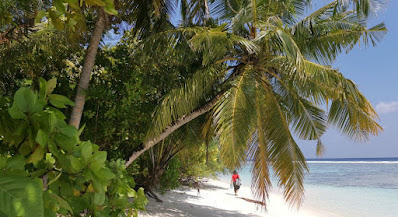 Bikini Beach de Dhigurah. Maldivas.