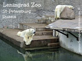 Leningrad Zoo St Petersburg Russia