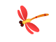 butterfly (3)