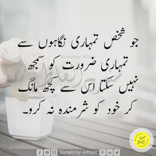 The Best Life Quotes in Urdu