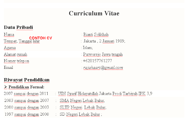 Contoh dan Cara Membuat CV / Curriculum Citae Yang Baik 