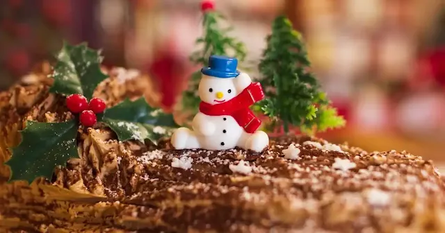 Festive Yule Log Cake - christmas cake