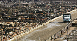 Industrialized animal farming: cruel and environmentally unhealthy.