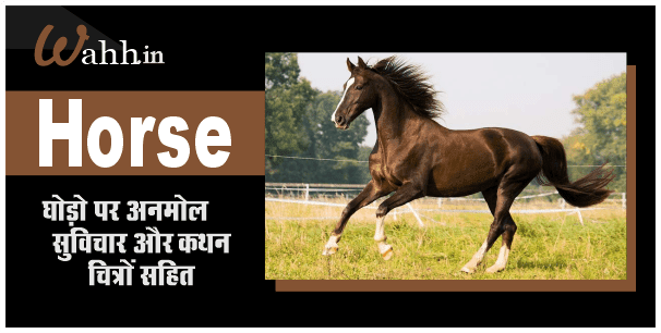 Horse Quotes In Hindi