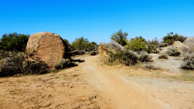 DSCN0001