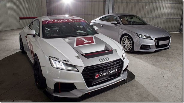 Audi TT de corrida (6)