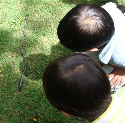 Children and Earthworm