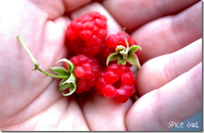 Wild Raspberries2