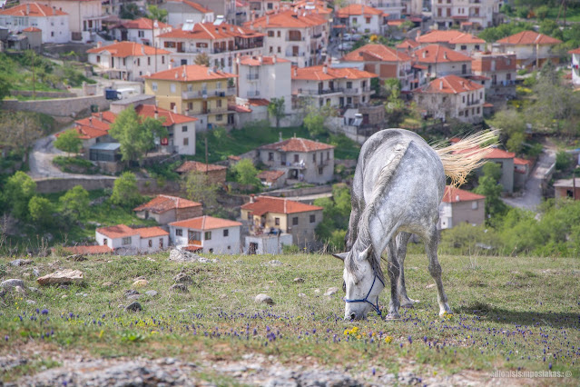 Σιάτιστα