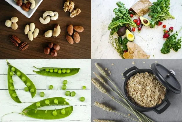 Assortment of Fiber-Rich Foods - Beans, Oats, Fruits, Vegetables, and Nuts