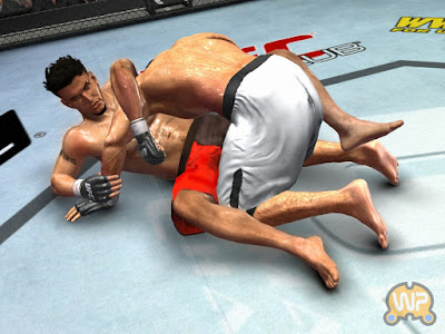 Screenshots new : UFC 2009Undisputed  [PS3/360]