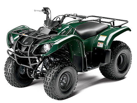 2013 Yamaha Grizzly 125 Automatic ATV pictures. 480x360 pixels