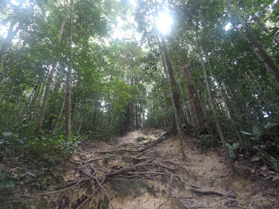 Trek ke Gunung Angsi