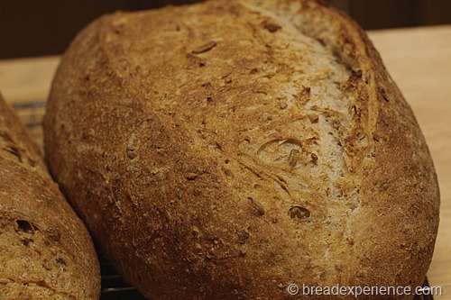 five-grain-rye-sourdough_1317